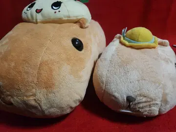 카피바라 씨 후낫시 봉제 인형 콜라보