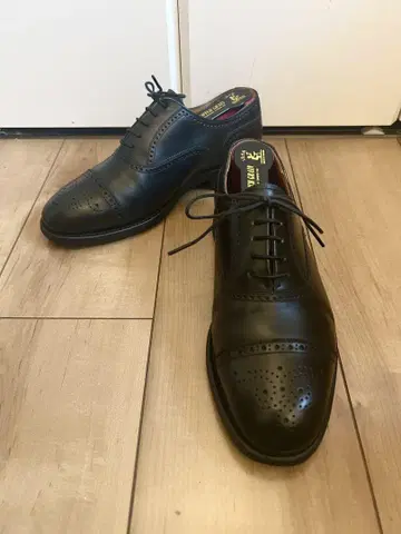 [ 새상품급 ] SCOTCHGRAIN 스코치그레인 세미브로그 24