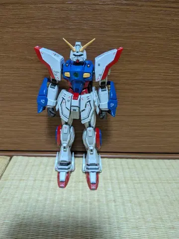 RG 샤이닝 건담