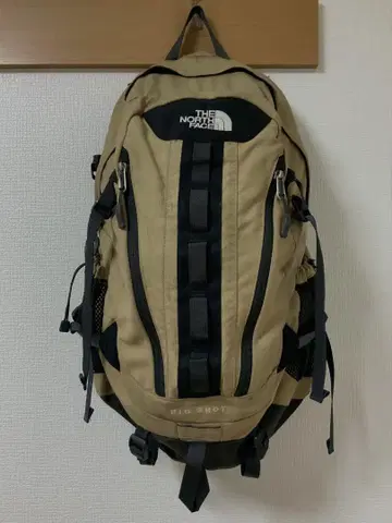 THE NORTH FACE 베이지 백팩