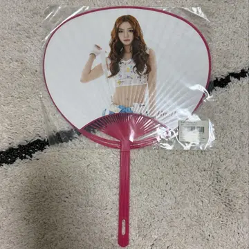 KARA 미스터 우치하라