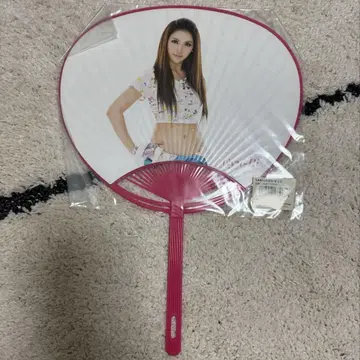 KARA 미스터 부채 규리