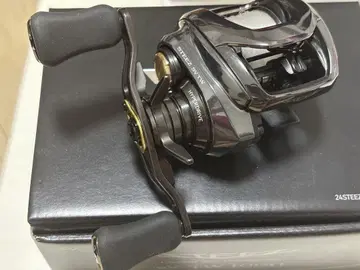 다이와 24 스티즈 SV TW 100H