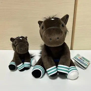 아이돌 호스 S M 사이즈 사츠키상 79회 사투르날리아