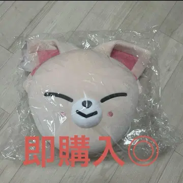 skzoo 쿠션 아이엔 폭시니