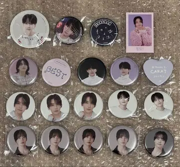 SEVENTEEN 정한 캔뱃지 묶음 판매 뮤지엄 카페