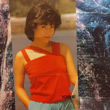카시와바라 요시에 님 핀업