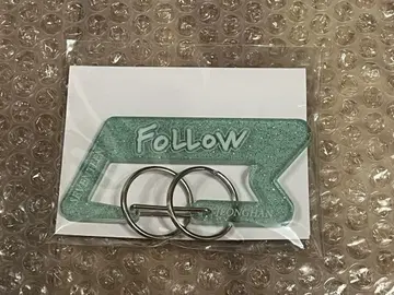 SEVENTEEN 정한 follow 카라비너 키링