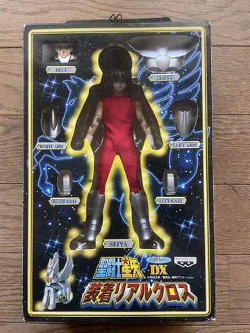 세인트 세이야 DX 장착 리얼 크로스 SEIYA