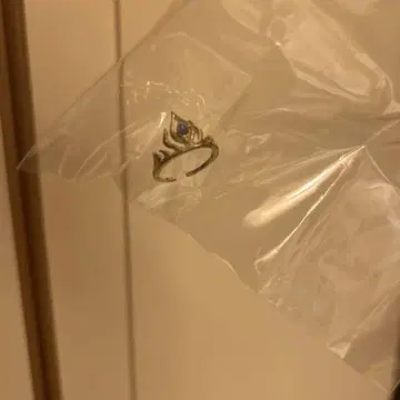 판타지 저니 시크릿 반지 안나와 엘사