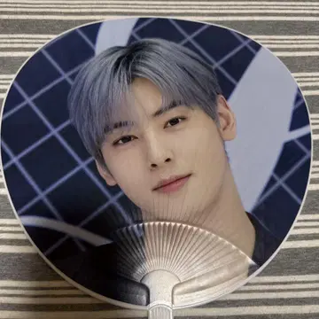 차은우 부채