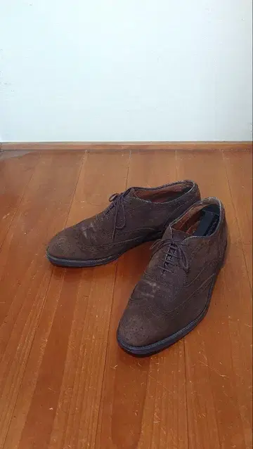 ALDEN 스웨이드 윙팁