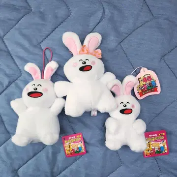 타베코 동물