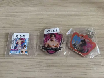 DRAGONGATE 드래곤 게이트 드래곤 다이아 아크릴 키링 묶음 판매