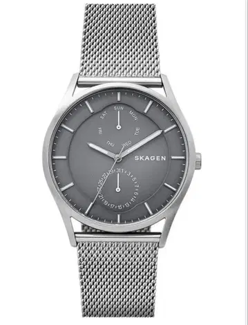 SKAGEN SKW6383 스테인리스 메쉬 손목시계