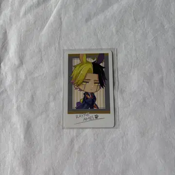 매쉬루 난자타운 사진풍 컬렉션 레인
