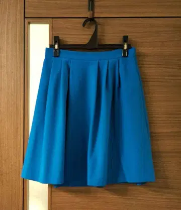 파란색 플레어 스커트 무릎 기장 플리츠
