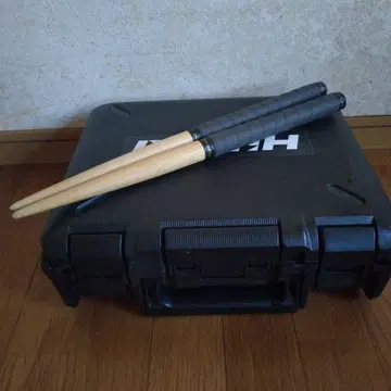 태고의 달인 바치