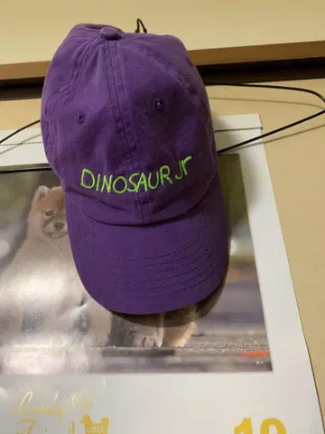 Dinosaur Jr. 보라색 캡