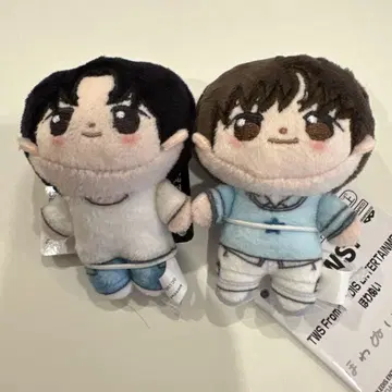 TWS 호와누이 2체 세트