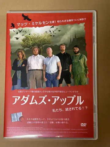 아담스 애플 DVD
