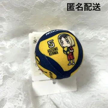 하이큐!! x MIKASA 공 네코마 시마무라