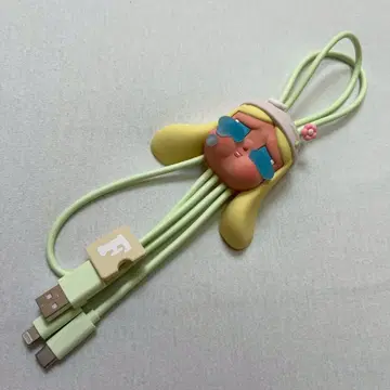 Hand in Hand 2in1 케이블 popmart crybaby