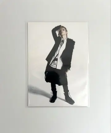 Acid Black Cherry 트레이딩 카드 INCUBUS 2