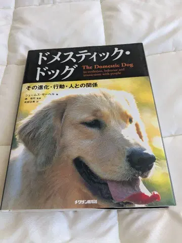 도메스틱 도그 개 그 진화, 행동, 사람과의 관계
