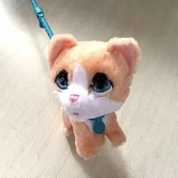 해즈브로 산책하는 고양이
