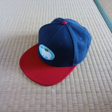 [상품 설명 필독] 돈브라더스 모모이 타로 북극곰 택배 캡