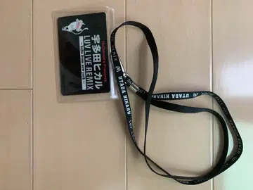 우타다 히카루 1999년 라이브 패스