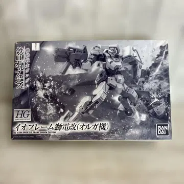 HG 이오 프레임 시덴 개 오르가기