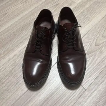 Allen Edmonds 가죽 신발
