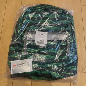 LL Bean 백팩 그린