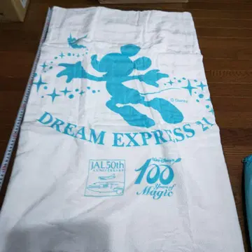 미키마우스 DREAM EXPRESS '21 타월과 백 세트