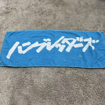 함브레더즈 타월