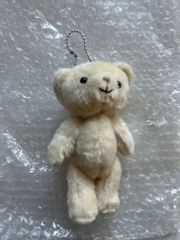 모차르트! 교모토 타이 가 곰 마스코트 베이지