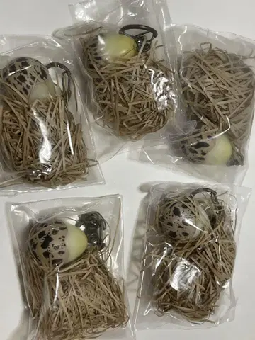 메추리알 에그 가챠 노멀 깨짐 빨간색 5개 하자품