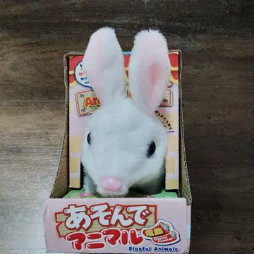 놀아줘 애니멀