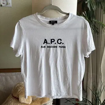 APC 티셔츠 사이즈 S BEAMS 구매품