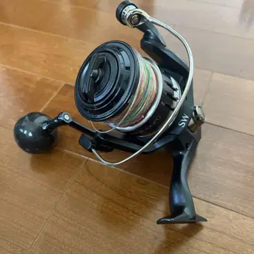 20 스트라딕 SW 8000 PG