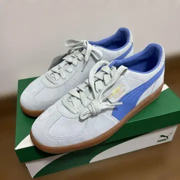 Puma 팔레르모
