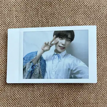 팬더 드래곤 타이거 폴라로이드 27