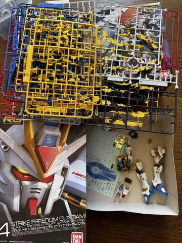 RG 스트라이크 프리덤 건담