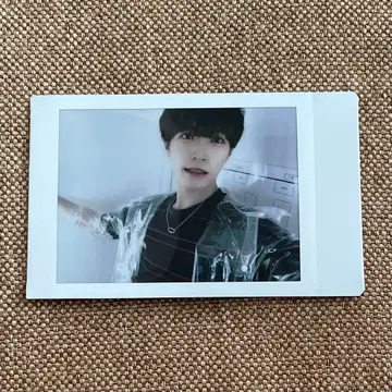 팬더 드래곤 타이거 폴라로이드 30