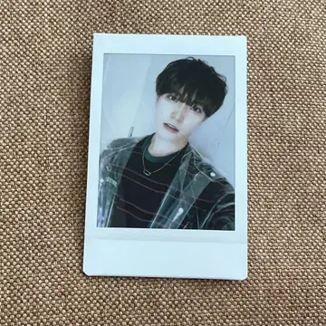 팬더드래곤 타이거 폴라로이드 31