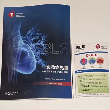 BLS 기본 인명 구조 프로바이더 매뉴얼