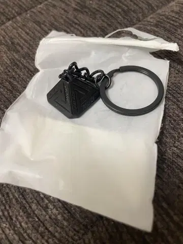 PALACE 키링