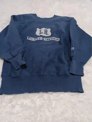 Champion L.R. LABRADOR-RETREIVER 맨투맨 M